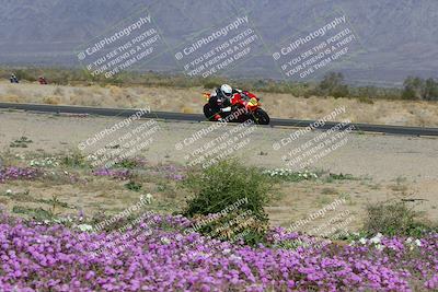 media/Feb-04-2023-SoCal Trackdays (Sat) [[8a776bf2c3]]/Turn 15 Inside Blooming (1050am)/